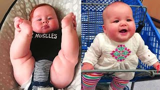 Funny Baby Videos - The Cutest Chubby Baby Compilation
