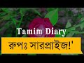 মেঘবতী কন্যার প্রেম জোর করে বিয়ে part 18 new love story tamim u0026 noyonika tamim diary