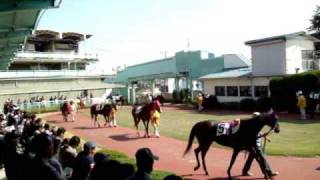 浦和競馬場－その２－競馬場の様子♪2009 10 12