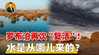 “死亡之海”奇迹复活，干涸60多年的罗布泊，为何如今碧波荡漾？