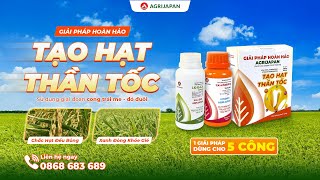 AgriJapan | TẠO HẠT THẦN TỐC - Giải pháp giữ năng suất, chi phí hợp lý trong giai đoạn cuối