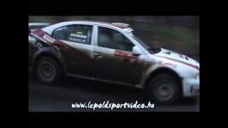 lepoldsportvideo.hu:WRC 2000-2010.part44. 10.Lausitz Rally 2009.pure sound