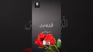 QURAN E MAJEED RECITATION IN BEAUTIFUL VOICE WITH URDU TRANSLATION - QAURAN FOR PEACE OF SOUL