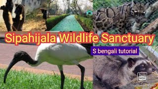 সিপাহীজলা চিড়িয়াখানা||Sipahijala Zoo 🐻 #picnic #sipahijola #tripura #viral #lion #animals #zoo