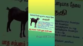 இனி யாரும் வேலை இல்லைன்னு சொல்ல மாட்டாங்க | ஆடு மேய்க்கும் வேலை | விவசாயம் |shorts  salary15k to 20k