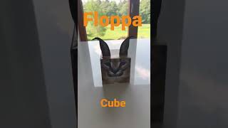 Floppa cube