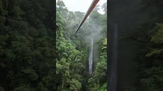 POV: zip-lining through clouds in a Costa Rican rainforest #lafortuna #zipline #fyp #travel #explore