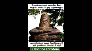 பத்மாசனம் சிவலிங்கம் _ திருவண்ணாமலை _ #lordshiva #religion #divinetales