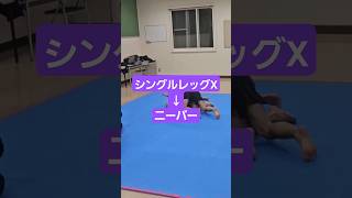 #ニーバー　#膝十字　#フックガード　#シングルレッグX　#ブラジリアン柔術　#柔術　#bjj　#jiujitsu　#北海道　#北見市　#網走市　#グラップリング　#ノーギ　#nogi　