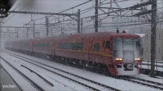 【着雪】特急「日光」253系電車 (東京都心の初雪) Limited express Nikkō (train)