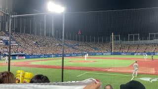 阪神ファンの圧倒的な応援　　阪神タイガース優勝！2023/09/14