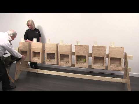 Drug detection dog training Drug detection dog training
