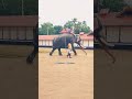 പാപ്പാന്റെ ഒപ്പം നടന്ന് പോകുന്നപോക്ക് കണ്ടോ elephant elephantvlogger shots moothakunnampadmanabhan