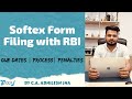 SoftEx Form Filing Process & Due Dates with RBI for Export of Softwares | What if not filed till now