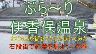 GoToトラベルを利用してぶら～り伊香保温泉その１　石段街で紅葉を見よう！の巻　【首都圏から電車で温泉旅】