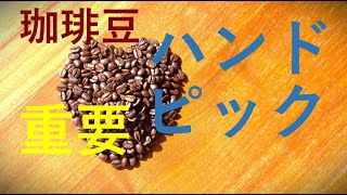 実は重要なハンドピックについて 対象の豆の種類の紹介✧#roasting #coffee  #handpick