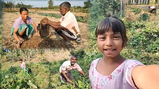 Junglee Arbi aur Ber ki sabji Pakaya | village life vlogs