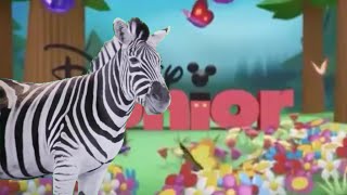 Disney Playhouse Bumper Junior Promo ID Ident (Animal Dance)