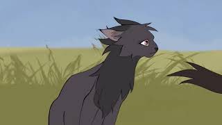 Heat waves/short/ nightcloud x crowfeather