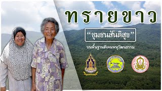 ทรายขาว l ชุมชนสันติสุขบนพื้นฐานสังคมพหุวัฒนธรรม ต.ทรายขาว อ.โคกโพธิ์ จ.ปัตตานี l ที่นี่ปัตตานี