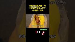 驴肉火烧曾经风靡一时，为何现在却没人吃了？5个原因太现实！（1）#驴肉火烧 #美食 #肉 #科音 #张知识