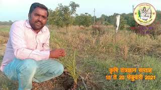 मराठवाड्यात ही खजूर लागवड शक्‍य #date #farming #palm #Cropping​​​ #System #Agriculture #agri #Bussin