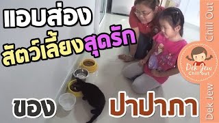 เด็กจิ๋วแอบส่องสัตว์เลี้ยงสุดรักของปาปาภา [N'Prim W331]