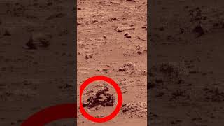 Mars - Curiosity - This image was taken by Curiosity Rover #Shorts #worldtvhindi