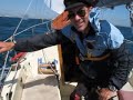 sailing pacific seacraft flicka nomad tack dowse and run off