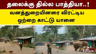 தலைக்கு தில்ல பாத்தியா..! வனத்துறையினரை விரட்டிய ஒற்றை காட்டு யானை | Nilgiri | PTT