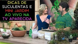 Dicas de Suculentas e Mini Jardim ao Vivo na TV Aparecida