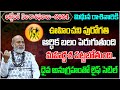 Mithuna Rasi Phalalu October 2024 | Gemini Horoscope October | Rasi Phalalu 2024 | Tree Media