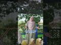 Jom ikut adik-adik kita nyanyi! 🎶