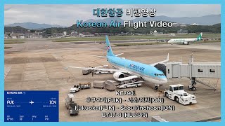 Korean Air (KE790) | Fukuoka(FUK) - Seoul/Incheon(ICN) | B737 MAX 8 Flight Video