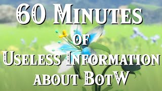 60 Minutes of Useless Information about BotW