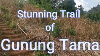 Sarawak Adventures, Ep. 72: Stunning Trail of Gunung Tama.