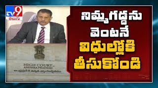 AP High Court delivers sensational judgement on Nimmagadda Ramesh Kumar petition - TV9