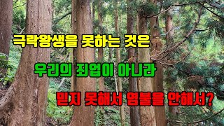 무량수경 제18원 강기 제17강