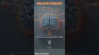 BUNLARI BİLİYORMUSUN? #25