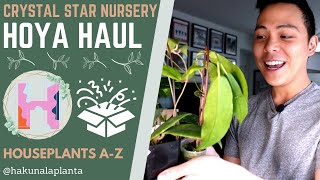 Hoya Haul - Newbie Buys Random Hoyas from Crystal Star Nursery (Houseplants A-Z)