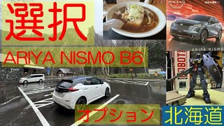 選択 ARIYA NISMO B6オプション こんな感じ ARIYA life(アリアは日々)172