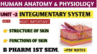 STRUCTURE AND FUNCTIONS OF SKIN ।। UNIT-2#bpharm_1st_semester #video #hap