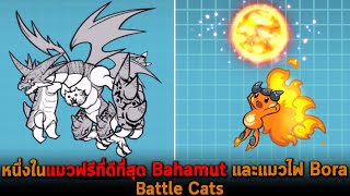 หนึ่งในแมวฟรีที่ดีที่สุด Bahamut และแมวไฟ Bora Battle Cats