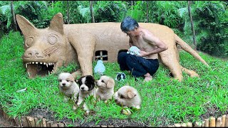 Rescue abandoned puppies Build mud houses for adorable dogs