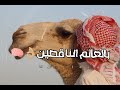 أنا الباشا في مجالى الفنان محمد البصيلي مصمم متهور 🖐🏼 الجديد وصول ترندك يوصل