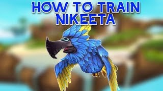 Pirate101: How To Train Nikeeta