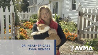 Saving the Whole Family: Disaster Prep and Your Pets