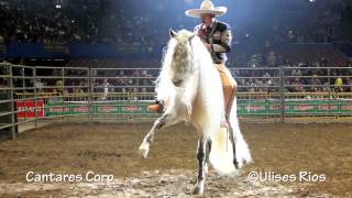 Ezequiel Peña - Los Angeles,Ca 1080p HD 7/7