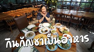 รีวิวเมนูพิเศษร้านเขียวไข่กา เคล็ดลับความอร่อยคือใบกัญชา! I กู๊ดเดย์