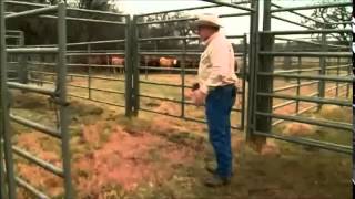 Stockmanship: Setting up Your Handling Facility (C2C)